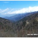 산천초목민박