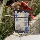 포멜로 | 용인레스토랑, 분위기 좋은 죽전카페거리맛집 추천ㅣ포멜로 방문 후기