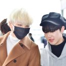 호시 이미지