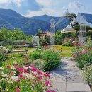 [2024장애인평생학습도시] 식물과 친구가 되는 원예활동(빛고운) | 가을의 진수인 꽃들과 나무들의 다양함과 풍성함을 정원과 개인 프랜테리어와 반려식물을 통해 힐링을♡