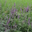 서3동 경로당 이미지