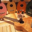 우쿠렐레 이미지