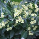 꽃소아청소년과의원 이미지