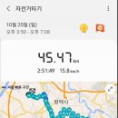 팽성대교 쉼터 이미지