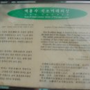 백룡사석조여래좌상 이미지