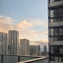 토요일 토론은 즐거워 | 토론토 어학연수 리얼 후기: EF를 선택한 이유와 레지던스 한 달 살기 찐리뷰