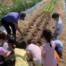 적암초등학교 이미지