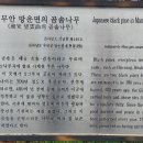 곰솔농장 이미지