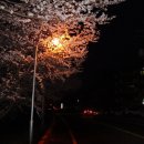 하동문화예술회관 이미지