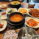 탐라도야지2 이미지