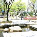 폴라리스호텔앞 이미지