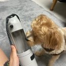 댕시락 | 슬라이드 댕시락 생생후기ㅣ반려견 여행템으로 좋은 강아지 사료통