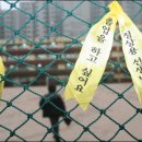 구산초등학교 이미지