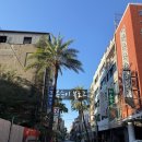 신촌목장 | good tone onigiri -무지개마을-동해대학-타이중극장-chin chin yuan-順咖啡-심계신촌-타이중공원-심원춘