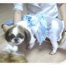 이웃집모모 이미지