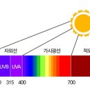 피오라의원 이미지