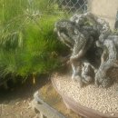 무안곤충농장 이미지