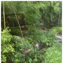 제주밥상 이미지