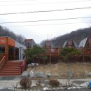 세모난나무2 이미지