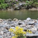 칡소폭포 캠핑장 이미지