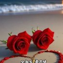 고요한하루