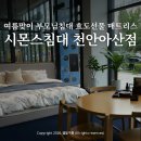 한국펫패밀리협동조합 | 시몬스 침대 천안아산점 부모님침대 매트리스 여름맞이 효도선물