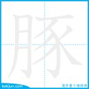돼지/돈 이미지