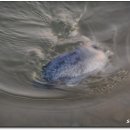 등대바다낚시터 이미지