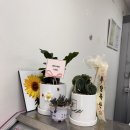 엘리트축산 | 인천 숙성 고기전문 정육점 [우담축산], 캠핑고기 구매는 여기서!(내돈내산)