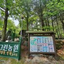 단양천동계곡캠핑장;그린농원 이미지