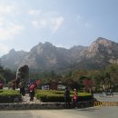 무위사 주차장 이미지