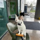 의성골프랜드 이미지