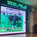 보은옥천영동축산업협동조합 이미지