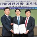 에스티컨설팅