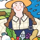 팔도상사 이미지