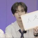 스테이미노