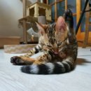 부산뱅갈하우스 이미지