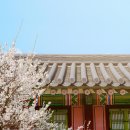 "예비 신랑이 강력 추천하는 인천점집 금정선원에서 본 찰떡 궁합 후기