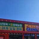 청년정육 이미지