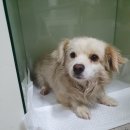 가창119안전센터 이미지