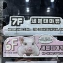 성체유치원 | 부산이색데이트 광안리 세븐테마카페 방문 후기