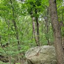 청주 상당사 이미지