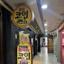 클라스코인 이미지