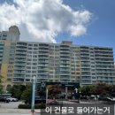 강원도 리조트 추천 웰리힐리파크 셔틀버스 시설 방 내부 후기 여름휴가 여행