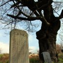 간이마을경로당 이미지