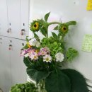 서울매직 이미지