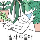 포토진 이미지