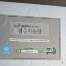 세일농장 | 참송이농장 참송이버섯, 최상급 농장직송 국내산 송이버섯 구매후기