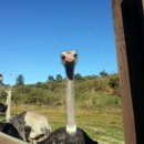 재형목장 이미지