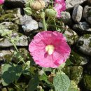 대율보건진료소 이미지